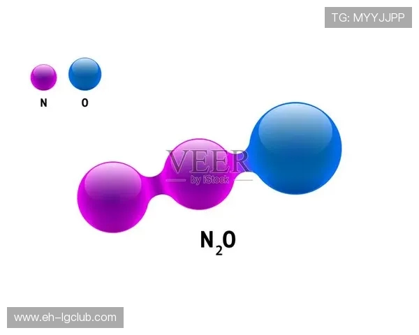 以足球与同尺寸球体为中心探讨多类运动形态演化深度全景论述篇